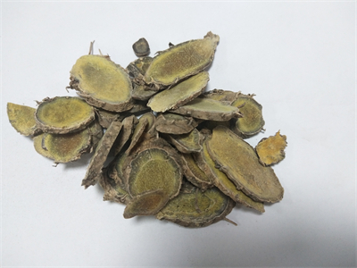 普菲德專題產(chǎn)品推薦-蓬莪術系列
