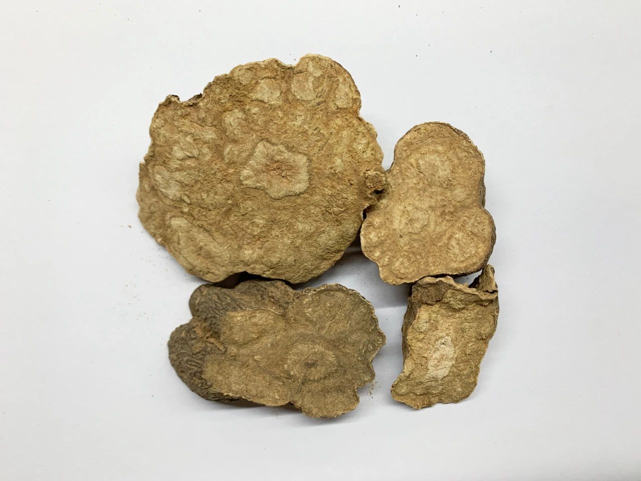 普菲德專(zhuān)題產(chǎn)品推薦-何首烏系列
