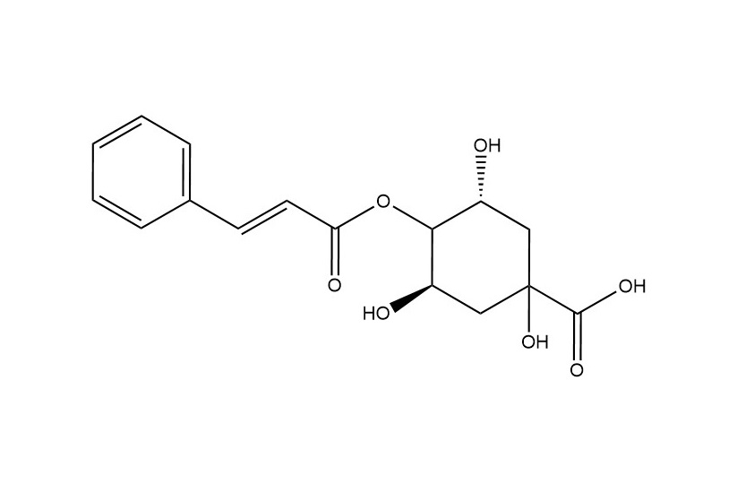 4-O-肉桂?？鼘幩醸5509-70-6